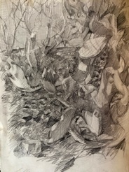 Sabras
pencil Sabras
pencil